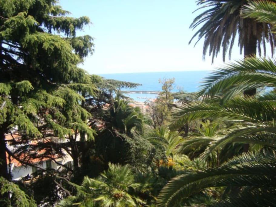 Mini Accommodation In Sanremo Liguria Εξωτερικό φωτογραφία